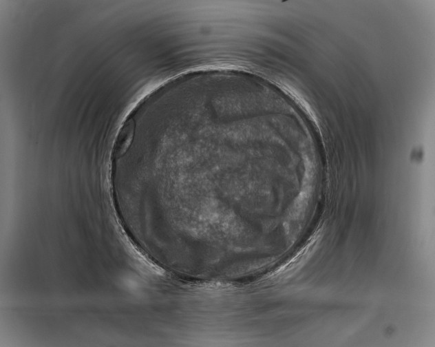 X0000099530797200806061430