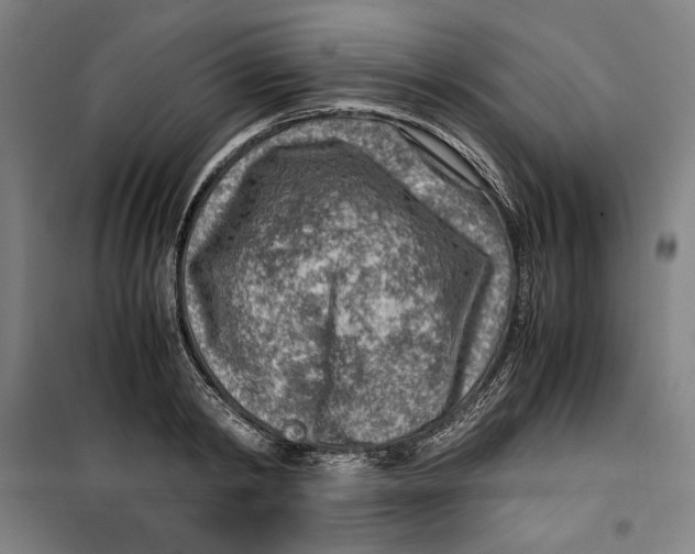 X0000099530798200806061430