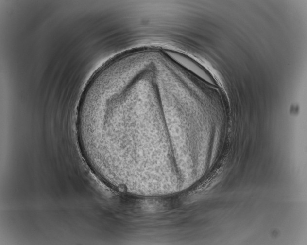 X0000099530799200806061430