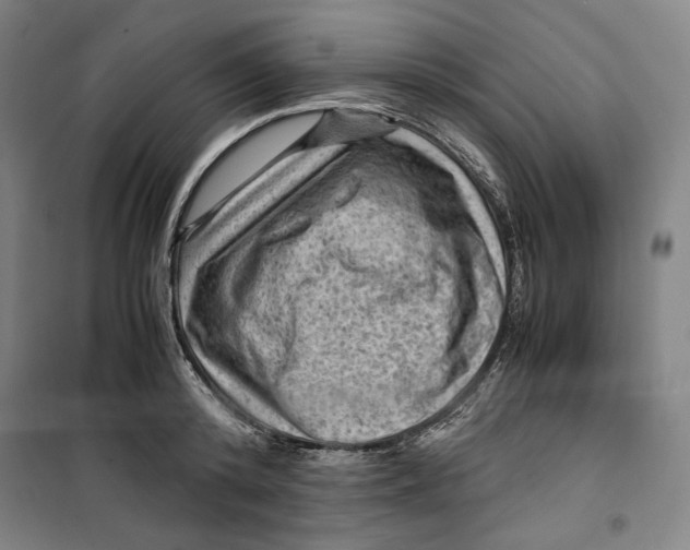 X0000099530800200806061430