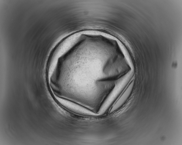 X0000099530803200806061430