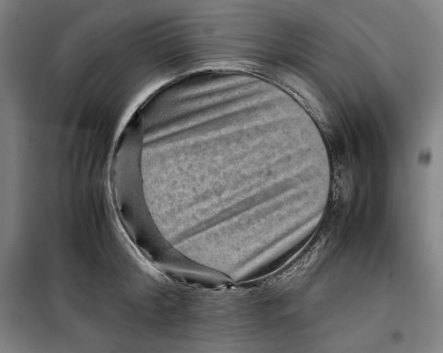 X0000099530804200806061430