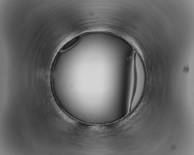 X0000099530805200806061430