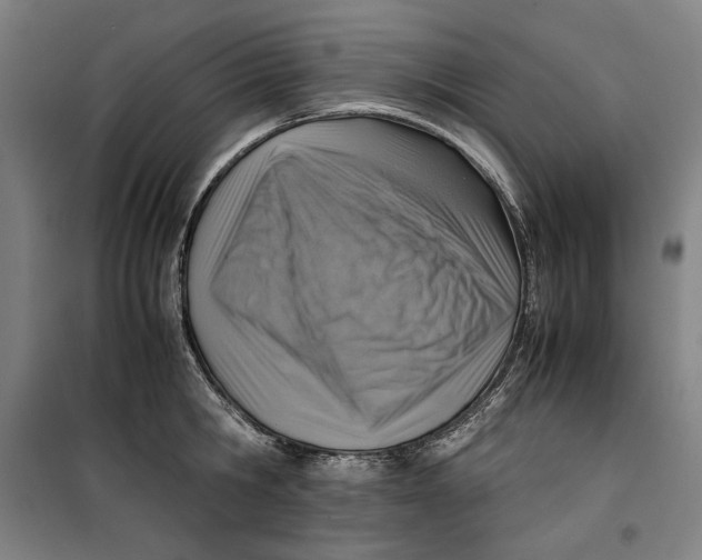 X0000099530806200806061430