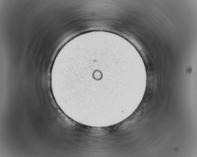 X0000099530807200806061430