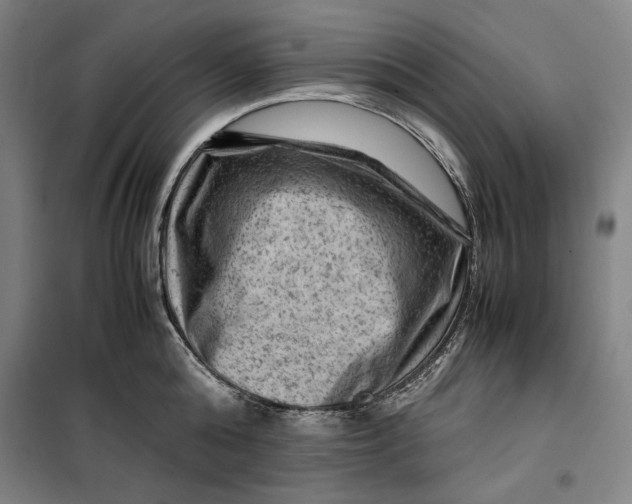 X0000099530808200806061430