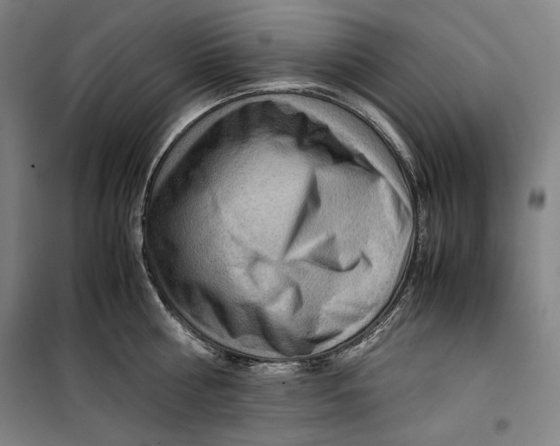 X0000099530810200806061430