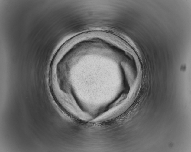 X0000099530811200806061430