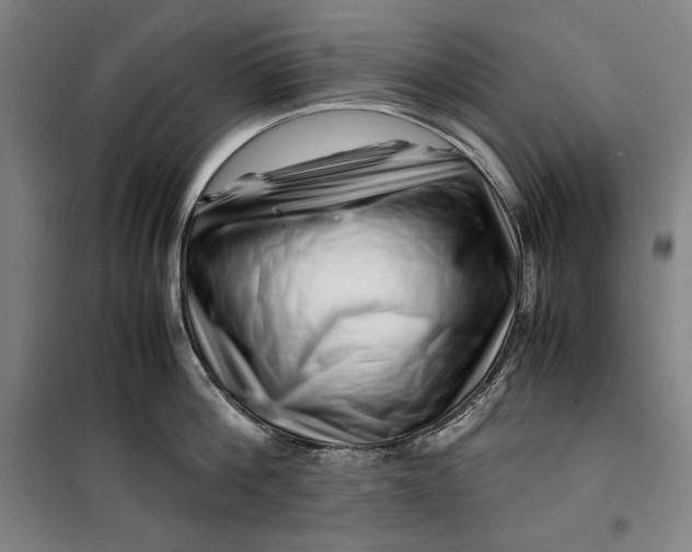 X0000099530812200806061430