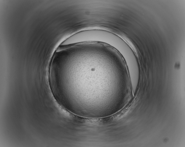 X0000099530813200806061430