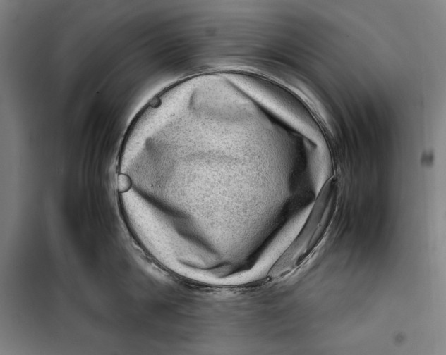 X0000099530814200806061430