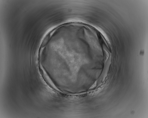 X0000099530815200806061430