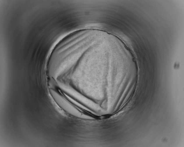 X0000099530816200806061430