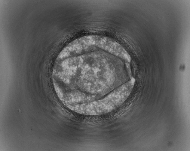 X0000099530817200806061429