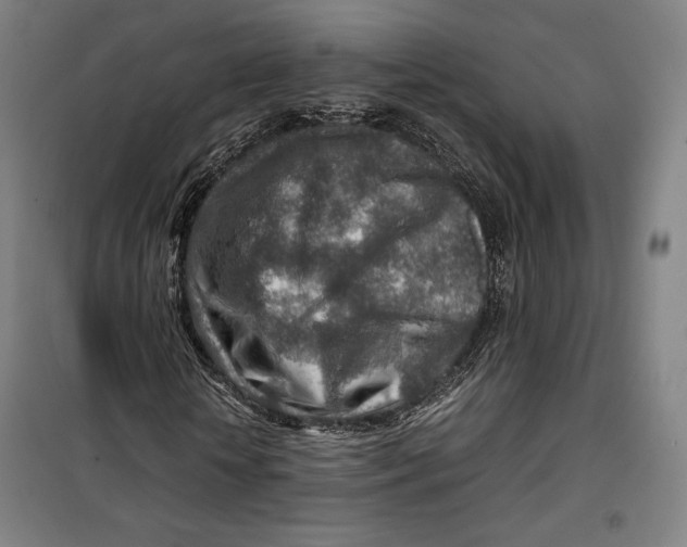 X0000099530818200806061429