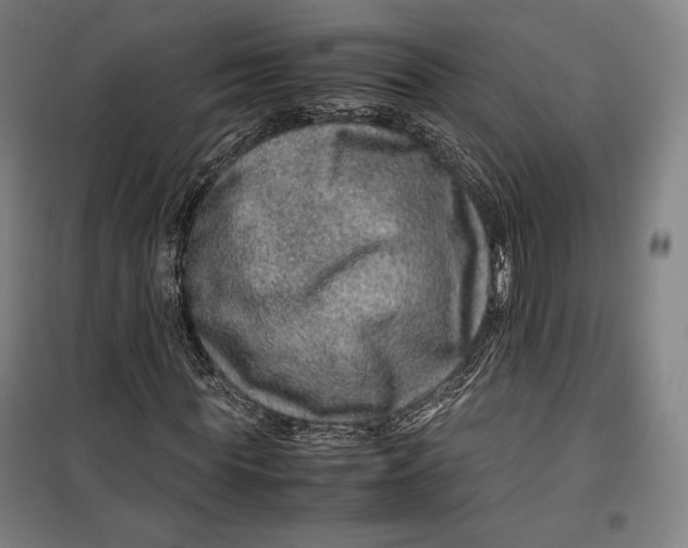 X0000099530819200806061429