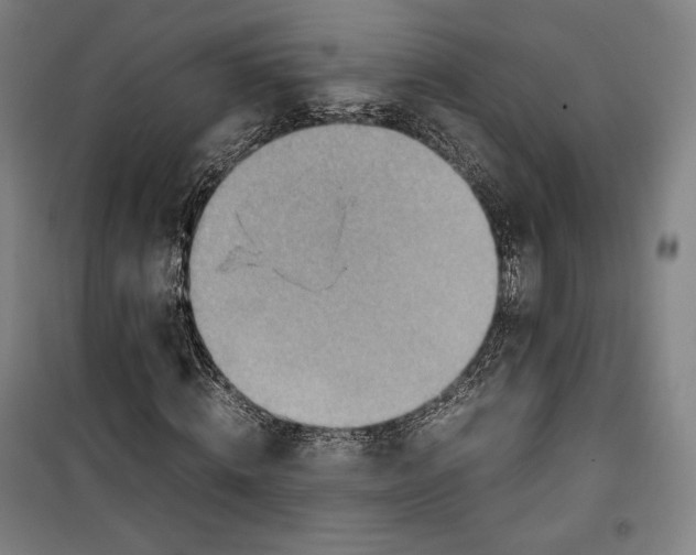 X0000099530820200806061429