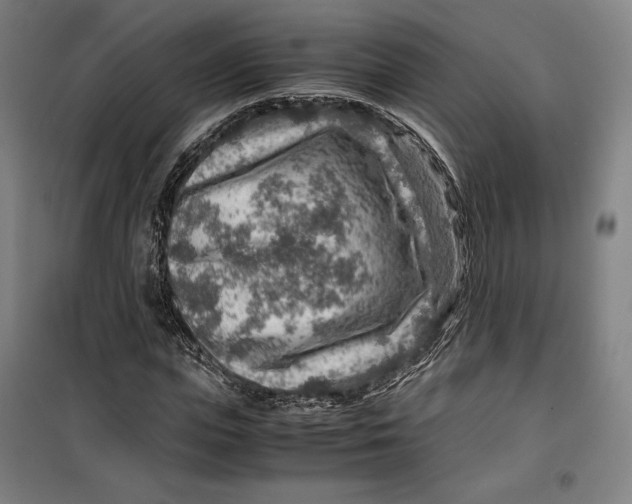 X0000099530823200806061429