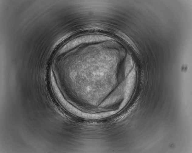 X0000099530826200806061429