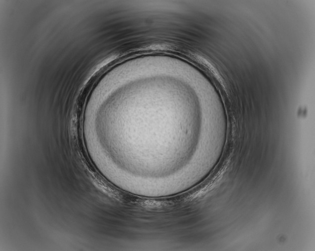 X0000099530827200806061429