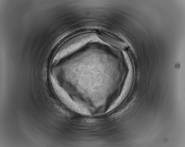 X0000099530829200806061429