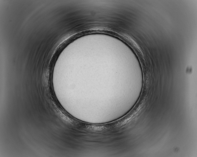 X0000099530831200806061429