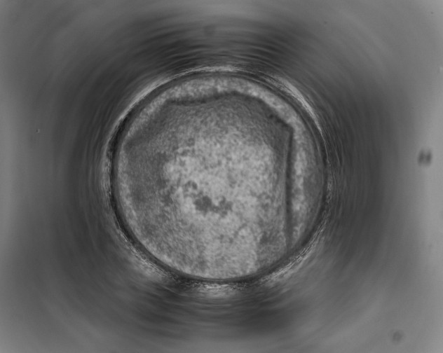 X0000099530835200806061429