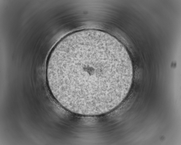 X0000099530836200806061429