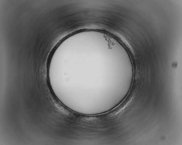 X0000099530837200806061429