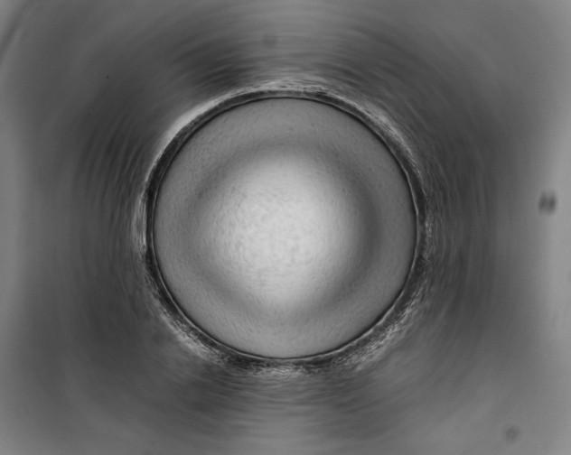 X0000099530838200806061430