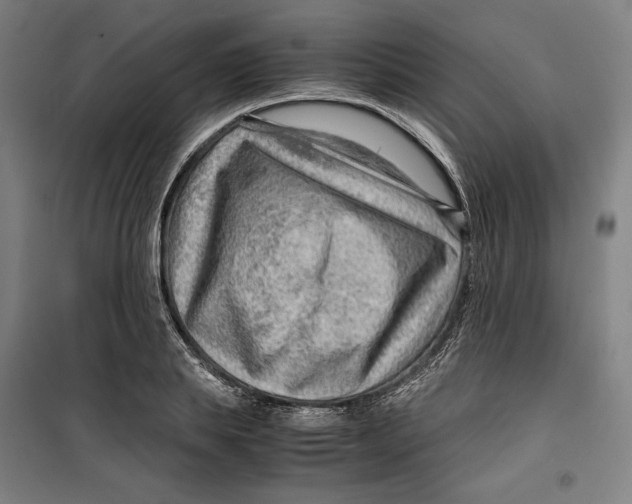 X0000099530839200806061430