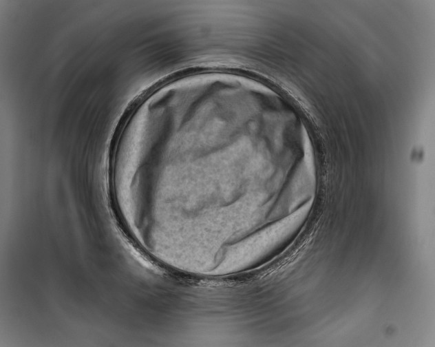 X0000099530840200806061430