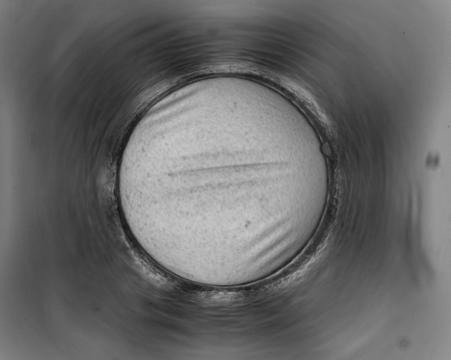 X0000099530841200806061430