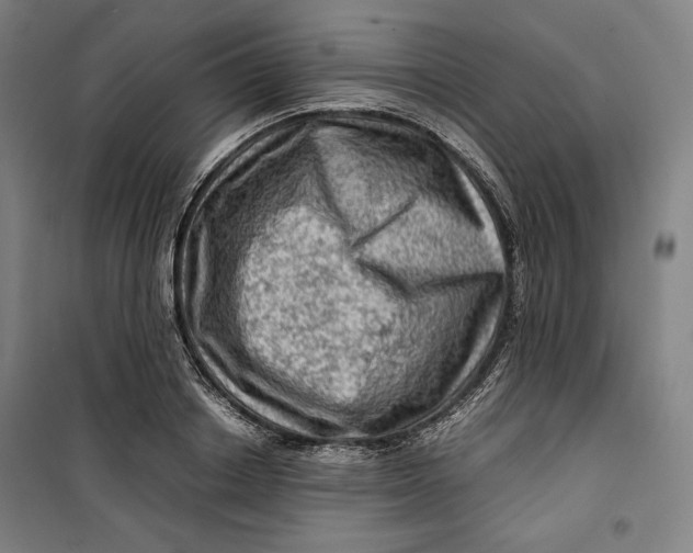 X0000099530842200806061430