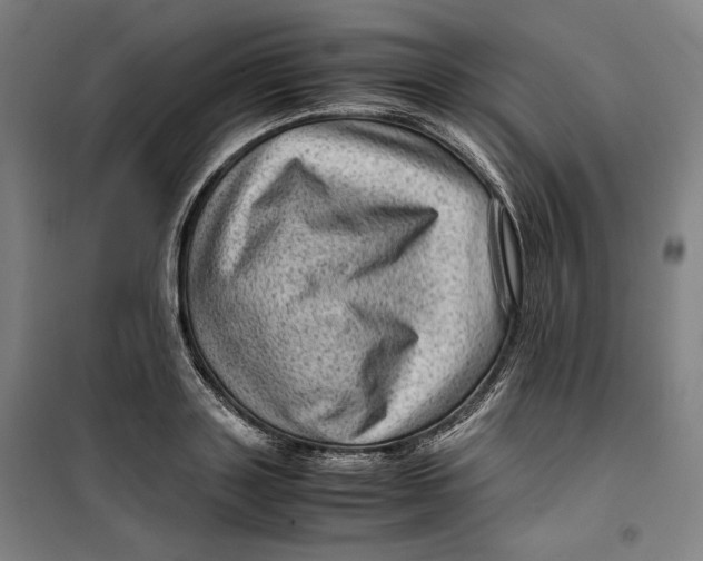 X0000099530843200806061430