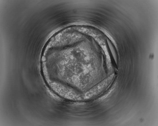 X0000099530845200806061430