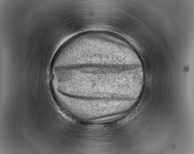 X0000099530846200806061430