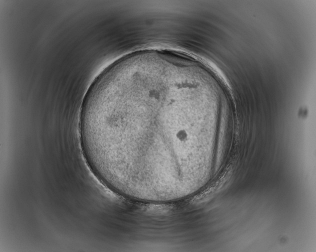 X0000099530847200806061430