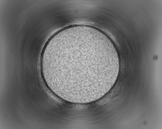 X0000099530848200806061430