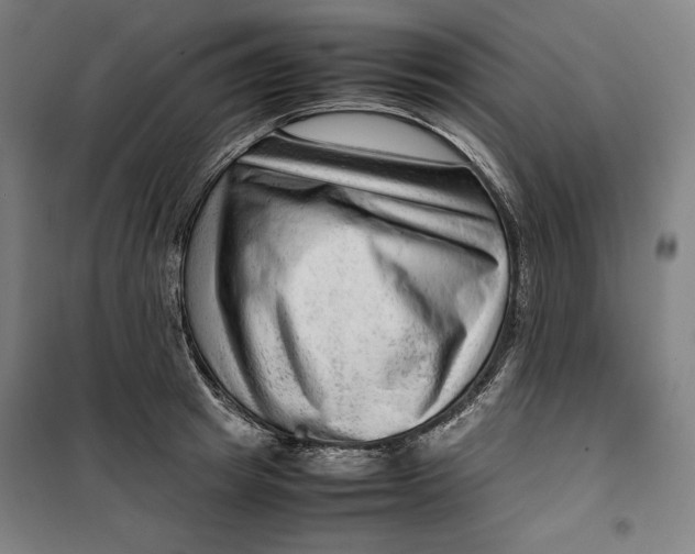 X0000099530849200806061430