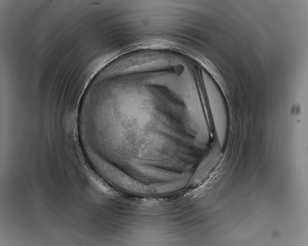 X0000099530850200806061430