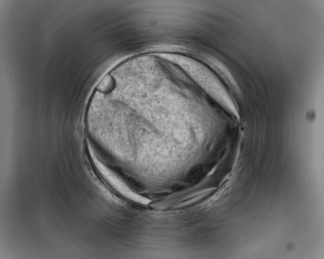 X0000099530852200806061430