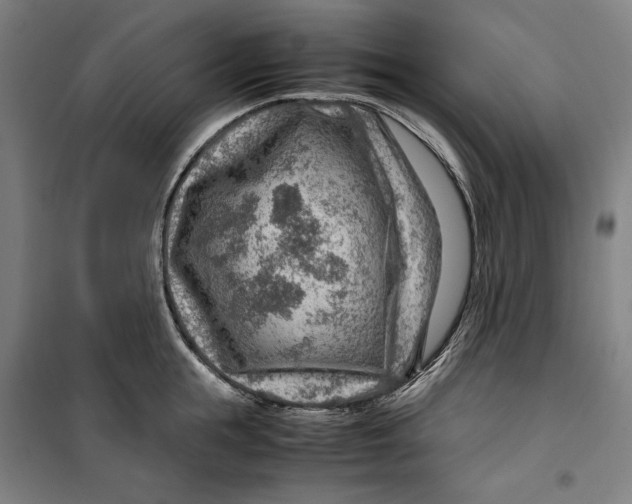 X0000099530855200806061430