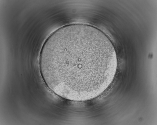 X0000099530856200806061430