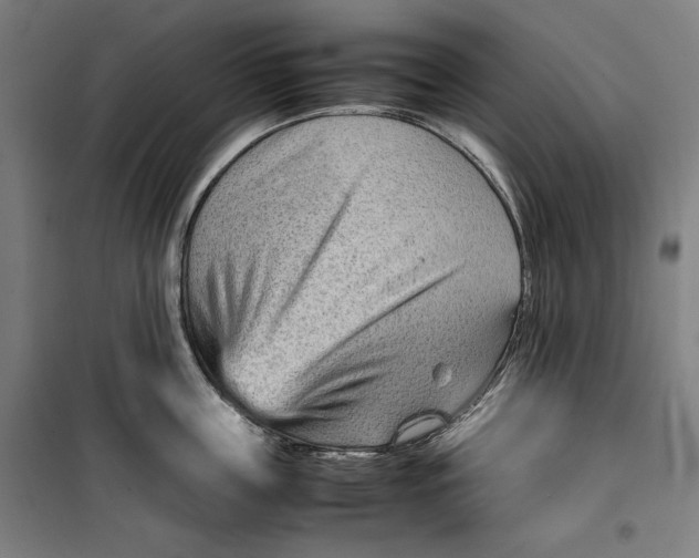 X0000099530859200806061430