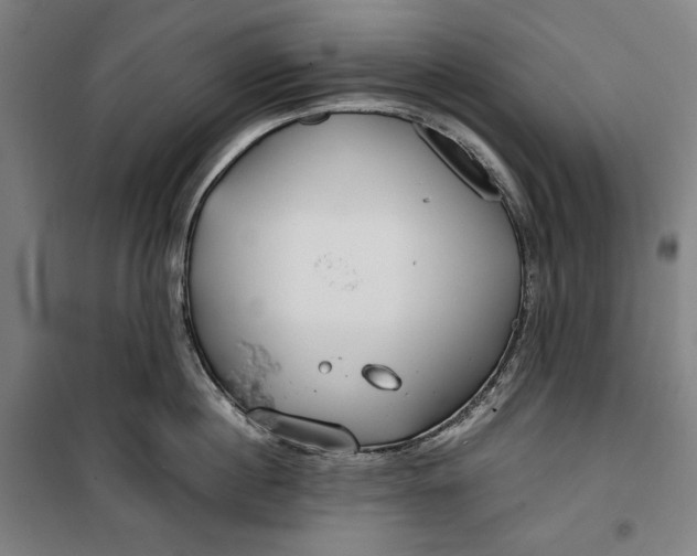 X0000099530860200806061430