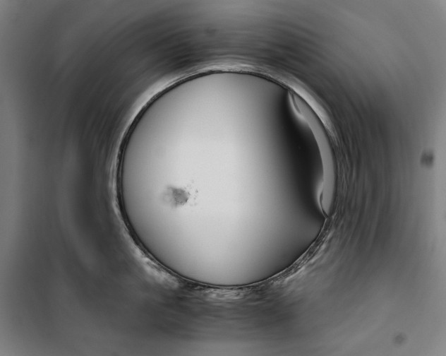 X0000099530861200806061430