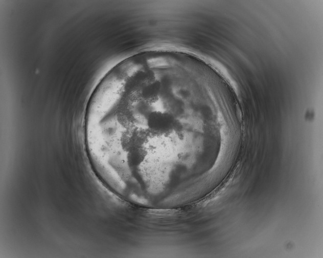 X0000099530863200806061430