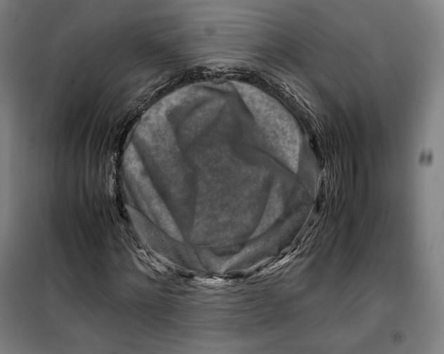 X0000099530868200806061429