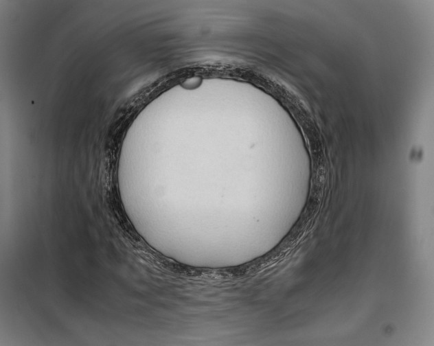 X0000099530869200806061429